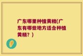 广东哪里种植黄精(广东有哪些地方适合种植黄精？)