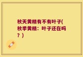 秋天黄精有不有叶子(秋季黄精：叶子还在吗？)