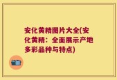 安化黄精图片大全(安化黄精：全面展示产地多彩品种与特点)