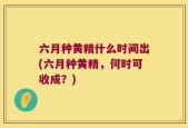 六月种黄精什么时间出(六月种黄精，何时可收成？)