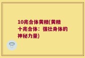 10兆合体黄精(黄精十兆合体：强壮身体的神秘力量)