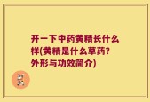 开一下中药黄精长什么样(黄精是什么草药？外形与功效简介)