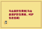 马山县野生黄精(马山县保护野生黄精，呵护生态宝藏)