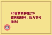 20亩黄精种植(20亩黄精耕种，助力农村增收)