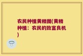 农民种植黄精图(黄精种植：农民的致富良机)