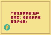 广西桂林黄精苗(桂林黄精苗：稀有植物的重要保护成果)