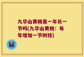 九华山黄精是一年长一节吗(九华山黄精：每年增加一节树枝)
