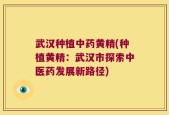 武汉种植中药黄精(种植黄精：武汉市探索中医药发展新路径)