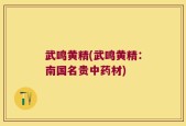 武鸣黄精(武鸣黄精：南国名贵中药材)