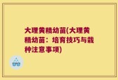 大理黄精幼苗(大理黄精幼苗：培育技巧与栽种注意事项)