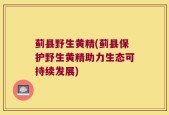 蓟县野生黄精(蓟县保护野生黄精助力生态可持续发展)