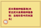 武川黄精种植基地(内蒙古武川县黄精种植基地：当地珍贵中药材源头)