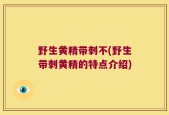 野生黄精带刺不(野生带刺黄精的特点介绍)
