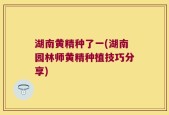 湖南黄精种了一(湖南园林师黄精种植技巧分享)