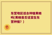 东营地区适合种植黄精吗(黄精是否适宜在东营种植？)