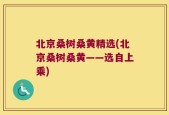 北京桑树桑黄精选(北京桑树桑黄——选自上乘)