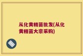 从化黄精苗批发(从化黄精苗大宗采购)