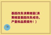 基因改良滇黄精苗(滇黄精苗基因改良成功，产量和品质提升！)