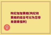 枸杞加加黄精(枸杞和黄精的组合可以为您带来健康福利)