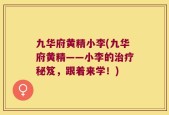 九华府黄精小李(九华府黄精——小李的治疗秘笈，跟着来学！)