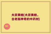 大芸黄精(大芸黄精，古老而神奇的中药材)