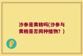 沙参是黄精吗(沙参与黄精是否同种植物？)