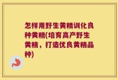 怎样用野生黄精训化良种黄精(培育高产野生黄精，打造优良黄精品种)
