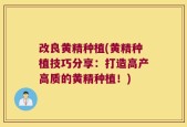 改良黄精种植(黄精种植技巧分享：打造高产高质的黄精种植！)