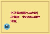 中药黄精图片与攻能(药黄精：中药材与功效详解)
