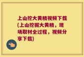 上山挖大黄精视频下载(上山挖掘大黄精，现场取材全过程，视频分享下载)