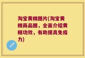 淘宝黄精图片(淘宝黄精商品图，全面介绍黄精功效，有助提高免疫力)
