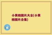 小黄精图片大全(小黄精图片合集)
