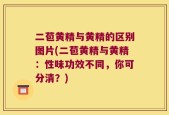 二苞黄精与黄精的区别图片(二苞黄精与黄精：性味功效不同，你可分清？)
