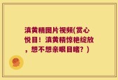滇黄精图片视频(赏心悦目！滇黄精惊艳绽放，想不想亲眼目睹？)