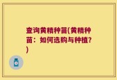 查询黄精种苗(黄精种苗：如何选购与种植？)