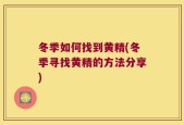 冬季如何找到黄精(冬季寻找黄精的方法分享)