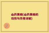 山药黄精(山药黄精的功效与作用详解)