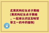 炙黄芪枸杞女贞子黄精(黄芪枸杞女贞子黄精，一起来认识这五味甘草之一的中药植物)