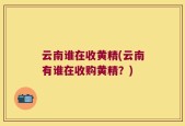 云南谁在收黄精(云南有谁在收购黄精？)