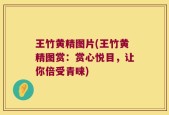 王竹黄精图片(王竹黄精图赏：赏心悦目，让你倍受青睐)