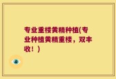 专业重楼黄精种植(专业种植黄精重楼，双丰收！)