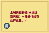 水城黄精种植(水城追逐黄精：一种盛行的农业产业化。)