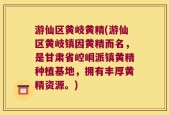 游仙区黄岐黄精(游仙区黄岐镇因黄精而名，是甘肃省崆峒派镇黄精种植基地，拥有丰厚黄精资源。)