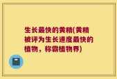 生长最快的黄精(黄精被评为生长速度最快的植物，称霸植物界)