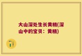 大山深处生长黄精(深山中的宝贝：黄精)