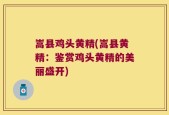 嵩县鸡头黄精(嵩县黄精：鉴赏鸡头黄精的美丽盛开)