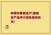 种哪种黄精高产(黄精高产品种介绍及栽培技术)