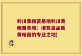 利川黄精苗基地利川黄精苗基地：培育高品质黄精苗的专业之地)