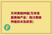 万州黄精种植(万州发展黄精产业：探讨黄精种植技术及前景)
