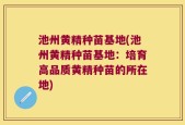 池州黄精种苗基地(池州黄精种苗基地：培育高品质黄精种苗的所在地)